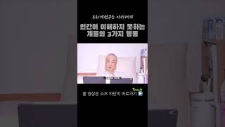 인간들이 이해 못하는 개들의 3가지 행동 강아지쇼츠 강아지행동 강아지짖음 강아지목욕 강아지로션 [upl. by Rosen]