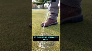 Why Golf Course Lawns Always Look Flawless – The Hidden Tricks [upl. by Edbert]