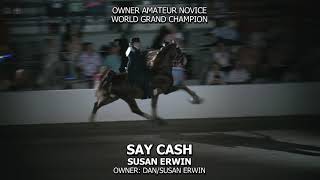 SAY CASH 2024 TENNESSEE WALKING HORSE NATIONAL CELEBRATION WGC [upl. by Macguiness96]