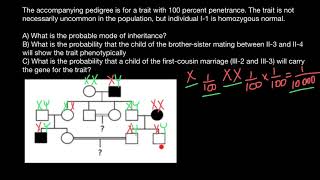 Pedigree probability practice problem explained [upl. by Aeli114]