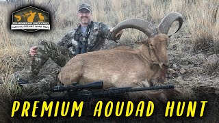 Pro Membership Sweepstakes Drawing for Premium Aoudad Hunt [upl. by Marcello]