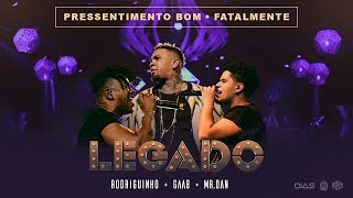 Rodriguinho Gaab e Mr Dan  Pressentimento  Fatalmente part MC Livinho Legado  Ao Vivo [upl. by Zonnya820]