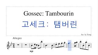 고세크 탕부랭 바이올린 편곡 Gossec Tambourin for Violin [upl. by Elsey]