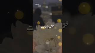 Mery khalij mery moalatringshort viralvideo 💫💫 [upl. by Adnerol]