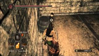 Dark Souls 2 Where to find Catarina Leggings and Catarina Gauntlets without farming [upl. by Osicran]