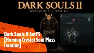 Dark Souls II SotFS Homing Crystal Soul Mass location [upl. by Thetes920]