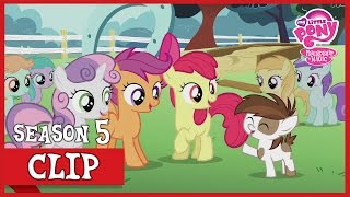 President Pipsqueak  Diamond Tiaras Mom Crusaders of the Lost Mark  MLP FiM HD [upl. by Akemed632]