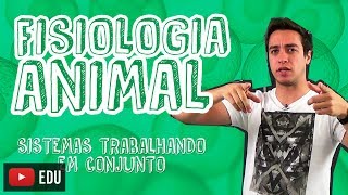 Biologia  Fisiologia Animal  Os Sistemas Trabalhando em Conjunto para o Enem e Vestibulares [upl. by Yared594]