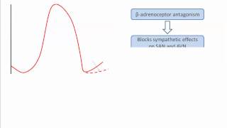 Class II antiarrhythmics [upl. by Akenehs179]