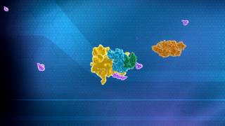 Ubiquitin Mediated Protein Degradation Explanation by Aaron Ciechanover [upl. by Prebo366]