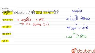 अगुणितों Haploids को प्राप्त कर सकते हैं  12  पुष्पीय पादपों में लैंगिक जनन  BIOLOGY  ER [upl. by Constancy]