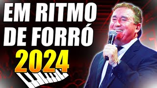 🎵 AMADO BATISTA EM RITMO DE FORRÓ AS MELHORES SERESTAS DE 2024 EM DESTAQUE 🎵 [upl. by Isleana]