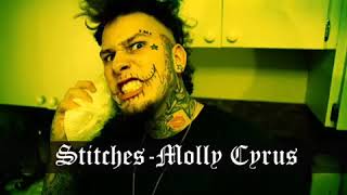 Stitches  Molly Cyrus  Official Audio [upl. by Nahgiem]