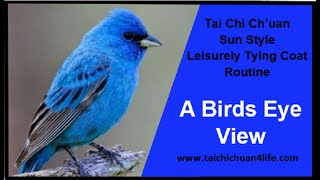 A Sun style Tai Chi routine  Leisurely Tying Coat  quotA Birds Eye Viewquot [upl. by Heath]