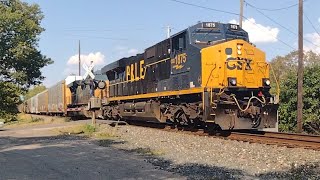 CSX M205 With CSX 1875 PampLE Heritage Unit With Horn Salute [upl. by Delila]