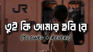 তুই কি আমার হবি রে  Lofi  Tui Ki Amar Hobi Re  Slowed amp Reverd  Pori Moni  Siam  Kona [upl. by Paddy]