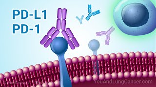 Understanding Immunotherapy for NSCLC with PD1 and PDL1 Biomarkers [upl. by Rickard]