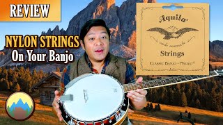 Aquila Nylgut Banjo Strings Review  Alternative String Options [upl. by Juback278]