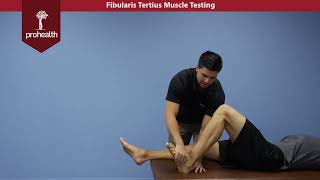 Fibularis Tertius Muscle Test Palp Dr Vizniak Muscle Manual [upl. by Creight]