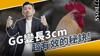 GG變長秘訣，變長3CM不是夢！只要做對這件事，兩週就見效！【77老大】 [upl. by Aihsenet]