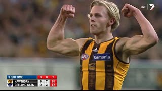 AFL 2014 Round 22  Hawthorn highlights vs Geelong [upl. by Nahs]