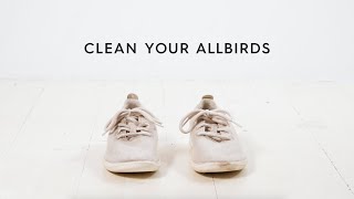 Clean Your Allbirds  オールバーズ スニーカーの洗い方 [upl. by Ssegrub]