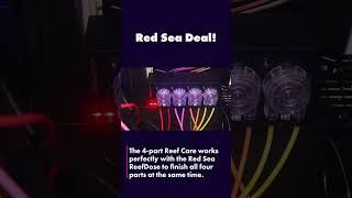 Red Sea ReefDose 4  FREE 4 part offer redseareefer aquascape reeftank fishtank [upl. by Theobald]