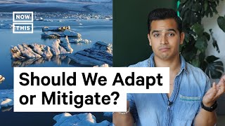 Adaptation vs Mitigation Climate Change Solutions [upl. by Raynell]