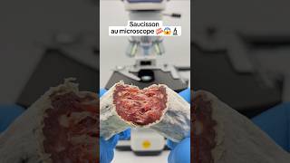 Oseriezvous manger du saucisson zoomé 400X au microscope 🥓😱 microscope zoom macro [upl. by Tergram467]