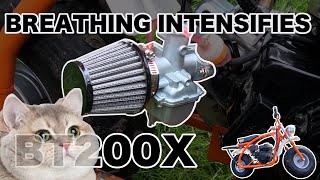 Coleman BT200X  What will a VM22 carb do for the mini bike  Wet Coast Fab [upl. by Siro]