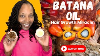 Batana Oil for Hair Growth  Discover the History Benefits and Uses  Harvesting from Honduras 🌿🌴 [upl. by Oiralih]