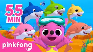 Baby Shark Doo Doo Doo en français  Comptines Bébé  Baby Shark  Pinkfong  Chansons pour Enfants [upl. by Notla]