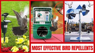 Best Bird Deterrent Devices  Quick amp Humane Ways to Keep Birds Away [upl. by Teresina]