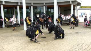 Dorking Day of Dance 2014  Mythago Morris  The Turncoat [upl. by Yecak]