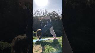 2 legged downwards dog yoga variation both sides yoga fitness exercise [upl. by Rosco]