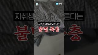 자취생 95가 모르는 복층의 비밀 shorts 알려주집 [upl. by Nwahsan183]