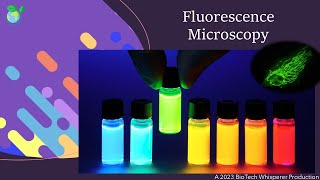 Fluorescence Microscopy Explained [upl. by Latton]