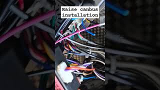 Raise canbus installation and connection automobile [upl. by Yarled668]