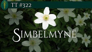 Simbelmynë  TT 322 [upl. by Haorbed996]