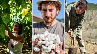 The Italian Radio Hour  Calabria the ancient tradition of silkworm breeding and Nido di Seta [upl. by Fagin864]