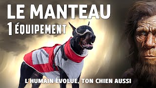 POURQUOI UTILISER un MANTEAU pour CHIEN [upl. by Yevoc56]