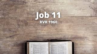 Job 11  Reina Valera 1960 Biblia en audio [upl. by Shult]