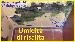 Lumidità di risalita ecco cosa fare How to get rid of rising damp eliminare umidità di risalita [upl. by Skier]