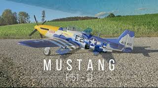 EFlite Mustang P51D 15m [upl. by Clarisa723]