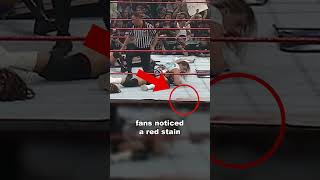 Was That Owen Hart’s Blood on the Ring [upl. by Notsua225]