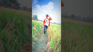 HARABO TOMAR MAJHE  BENGALI ROMANTIC SONG banglashorts shorts youtubeshorts [upl. by Kamp]