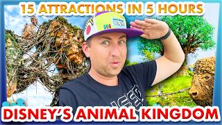 15 Attractions in 5 Hours  Disney’s Animal Kingdom [upl. by Ahsiatal]