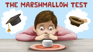 The Marshmallow Test Stanford Experiment  Truth [upl. by Adila544]