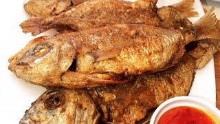 FRIED SNAPPER FISH  How To Fry Fish  Crispy Fried Fish  Fish  Jamaican Fried Snapper [upl. by Debor974]