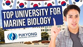 Where to Study in Korea  How to Apply to Pukyong National University Undergraduate [upl. by Bisset984]